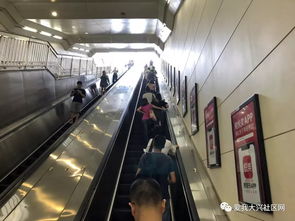 扶梯“左行右立”的真正受益者 是安全还是被忽视的代价？